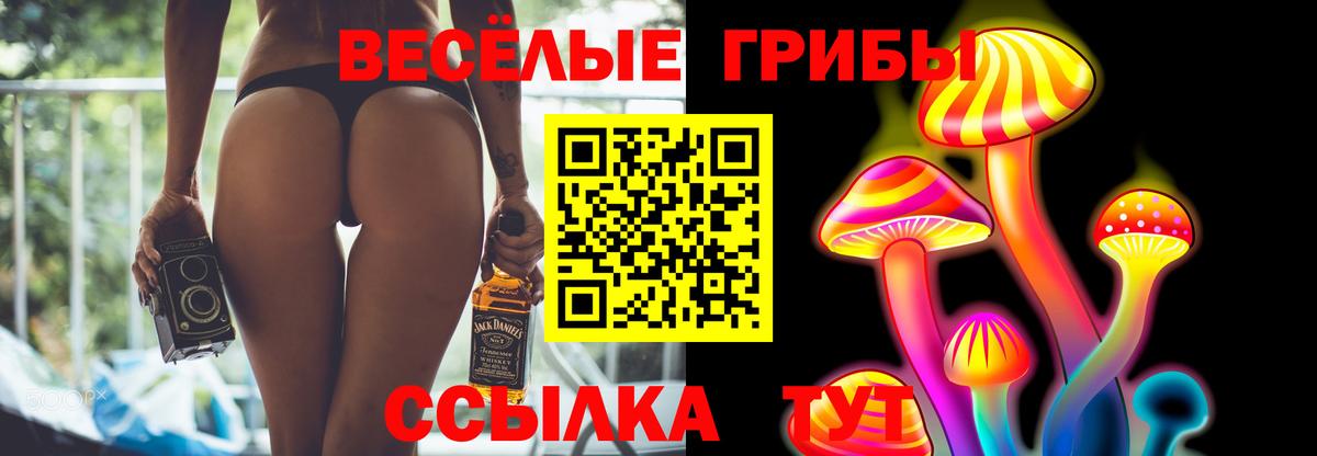 Гусев  Псилоцибиновые грибы Psilocybe  цены наркотик  Вход с VPN 